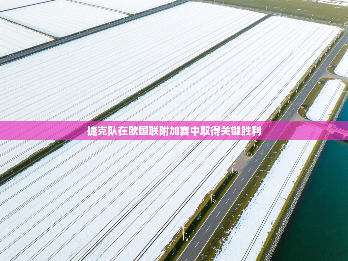 捷克队在欧国联附加赛中取得关键胜利  第1张