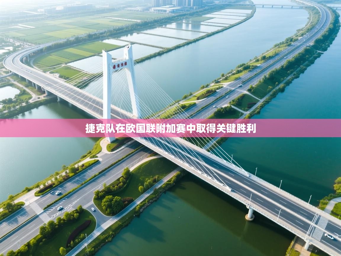 捷克队在欧国联附加赛中取得关键胜利  第2张