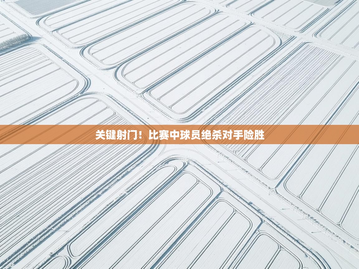 关键射门!比赛中球员绝杀对手险胜 第1张