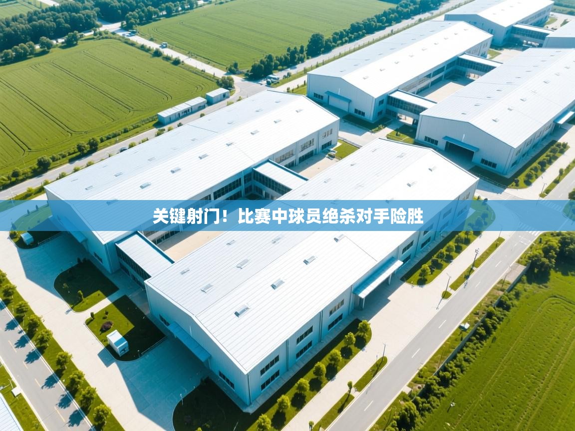 关键射门!比赛中球员绝杀对手险胜 第2张