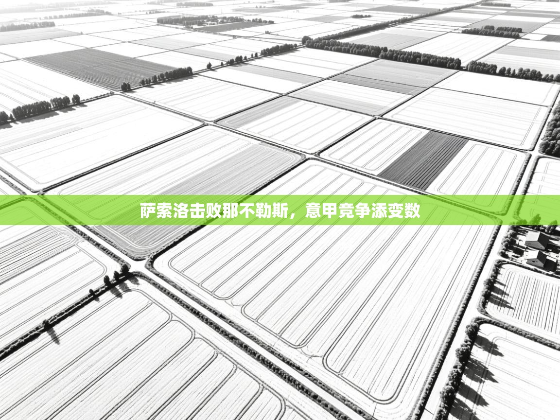 萨索洛击败那不勒斯，意甲竞争添变数  第1张