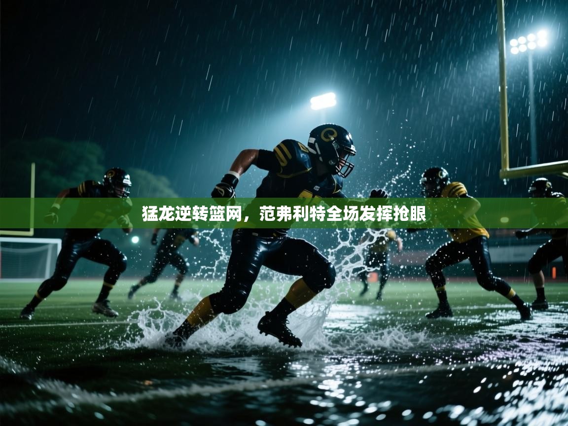 猛龙逆转篮网，范弗利特全场发挥抢眼  第2张