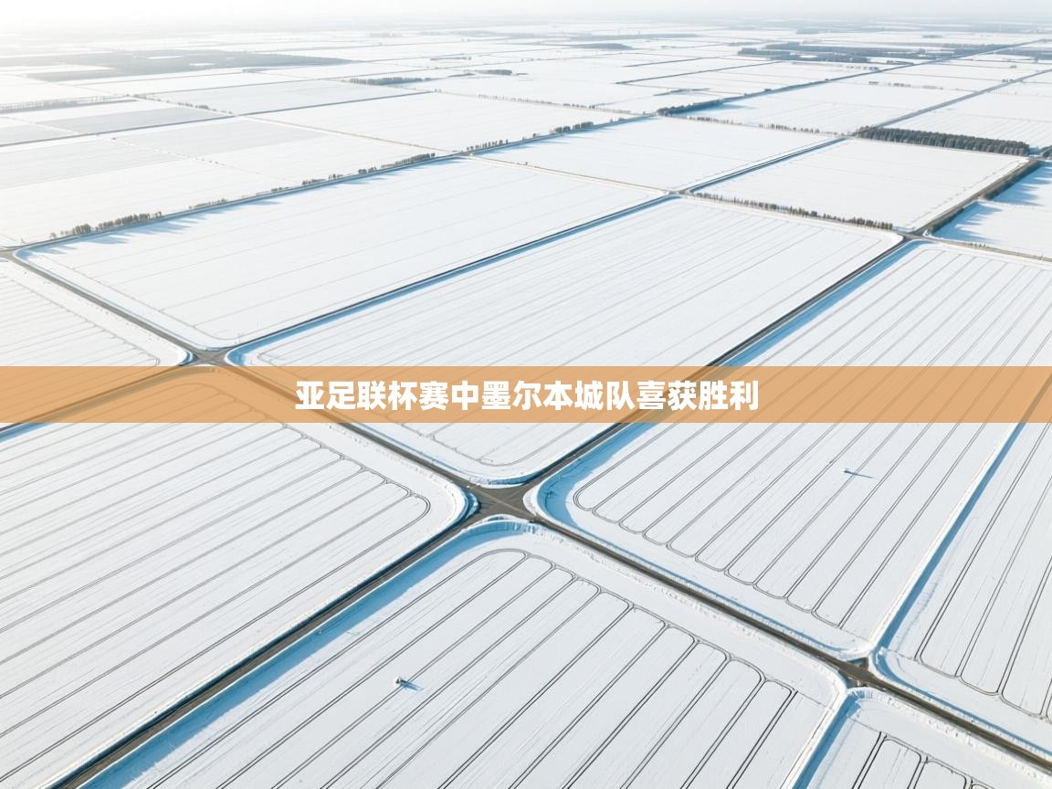 亚足联杯赛中墨尔本城队喜获胜利  第1张