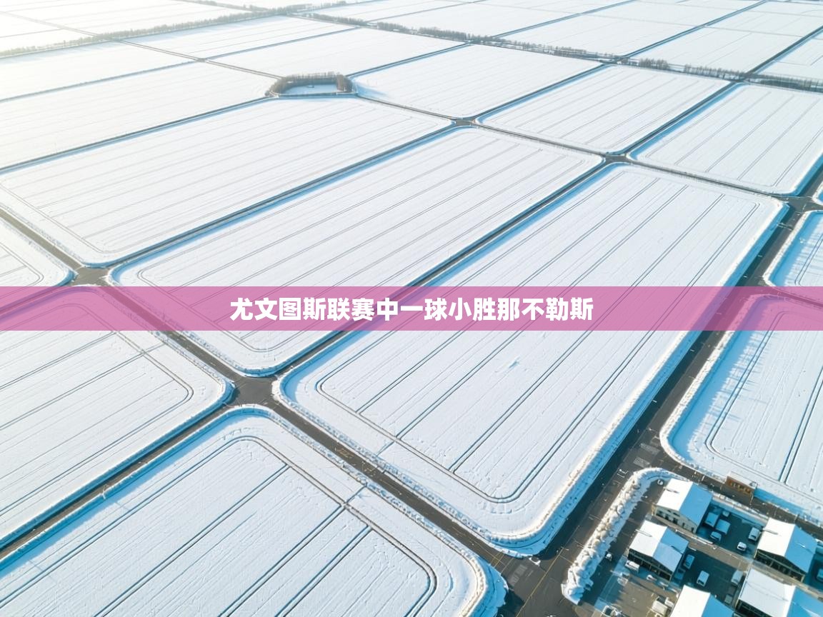 尤文图斯联赛中一球小胜那不勒斯 第1张