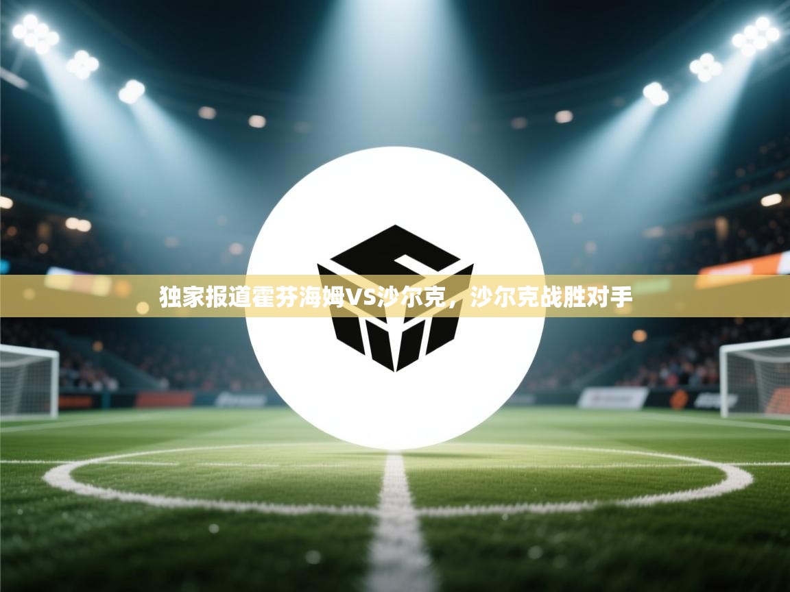 独家报道霍芬海姆VS沙尔克，沙尔克战胜对手  第2张