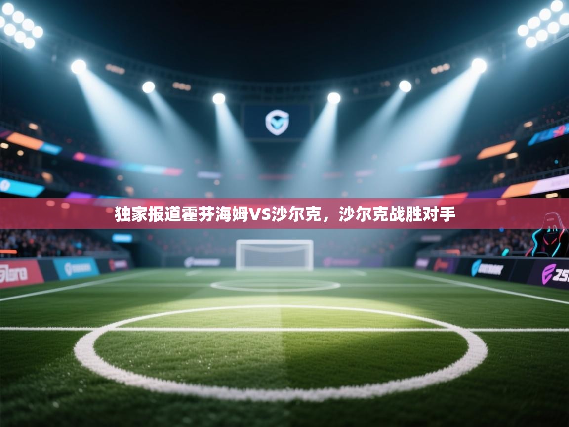 独家报道霍芬海姆VS沙尔克，沙尔克战胜对手  第1张