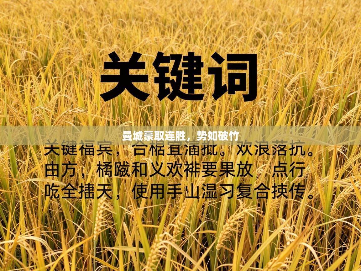 曼城豪取连胜，势如破竹  第2张