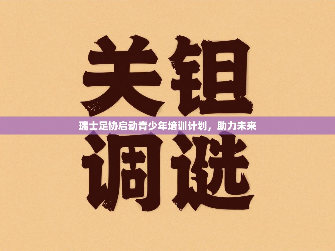 瑞士足协启动青少年培训计划,助力未来 第2张